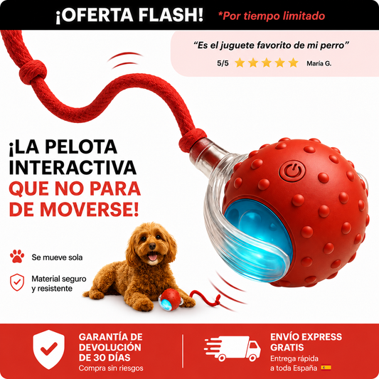 PawGlow™ | Pelota Interactiva