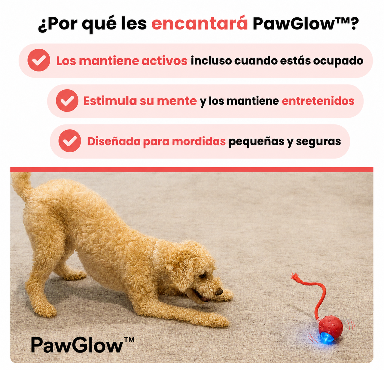 PawGlow™ | Pelota Interactiva