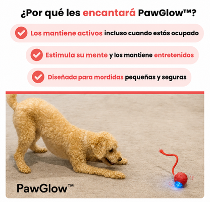 PawGlow™ | Pelota Interactiva