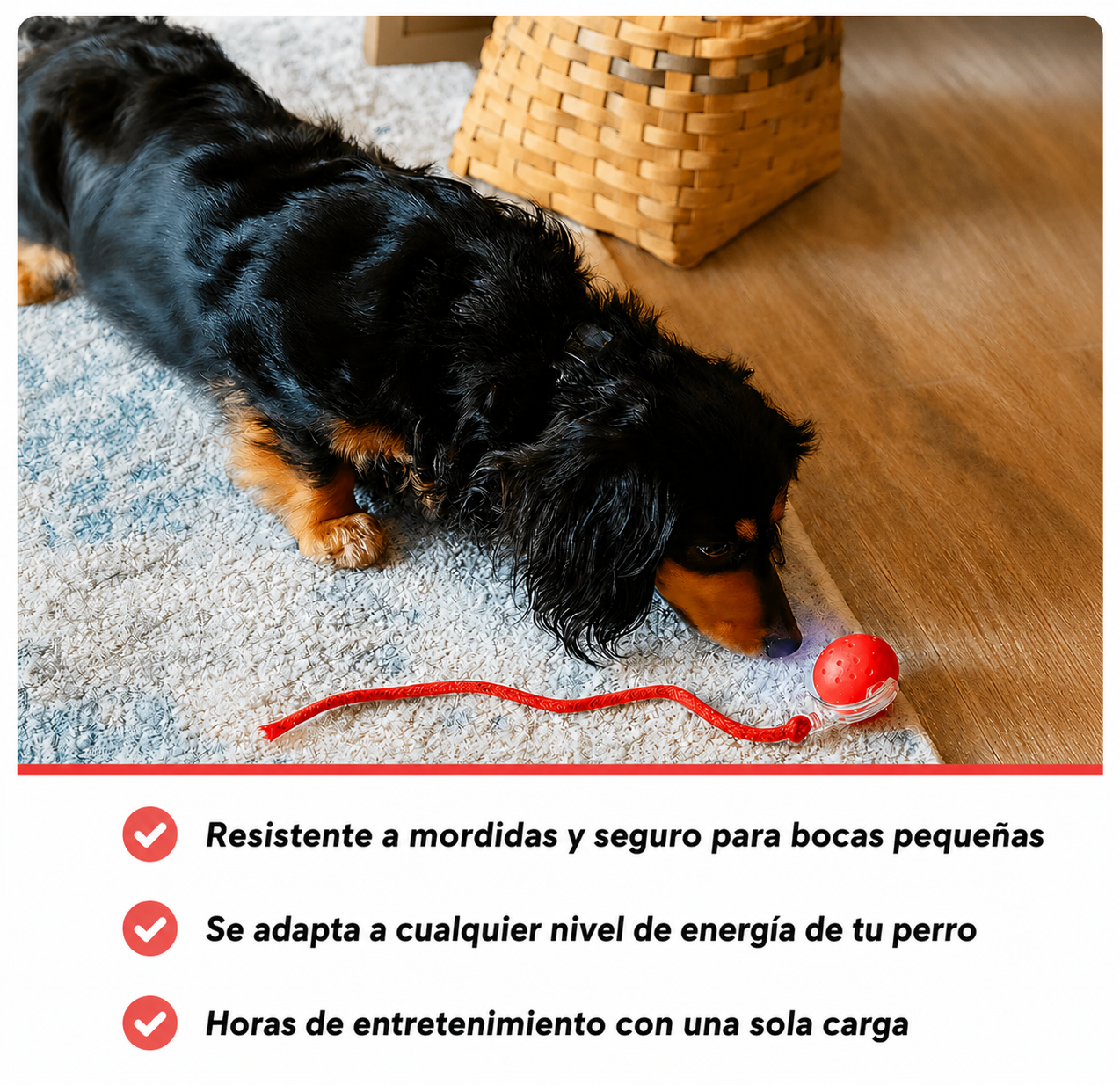 PawGlow™ | Pelota Interactiva